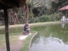 Pescando